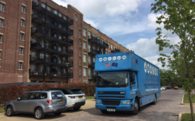 Why Is Proper Documentation Crucial for International Moves?